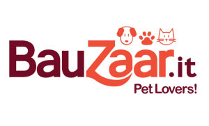 Bauzaar